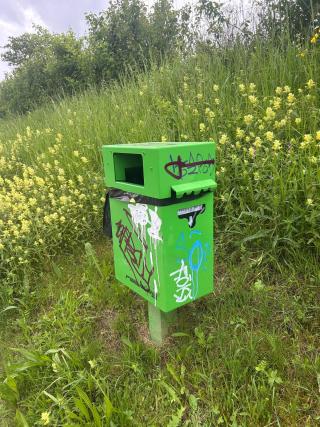 Robidog mit Sprayereien 1